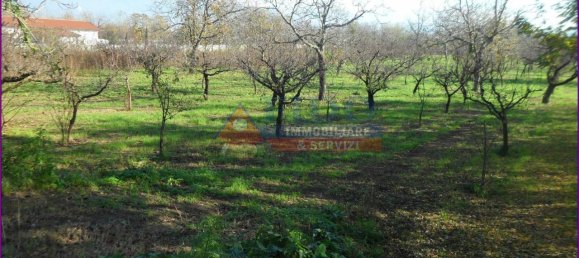 6241m² Land in Somma Vesuviana, Italy No. 163998 8