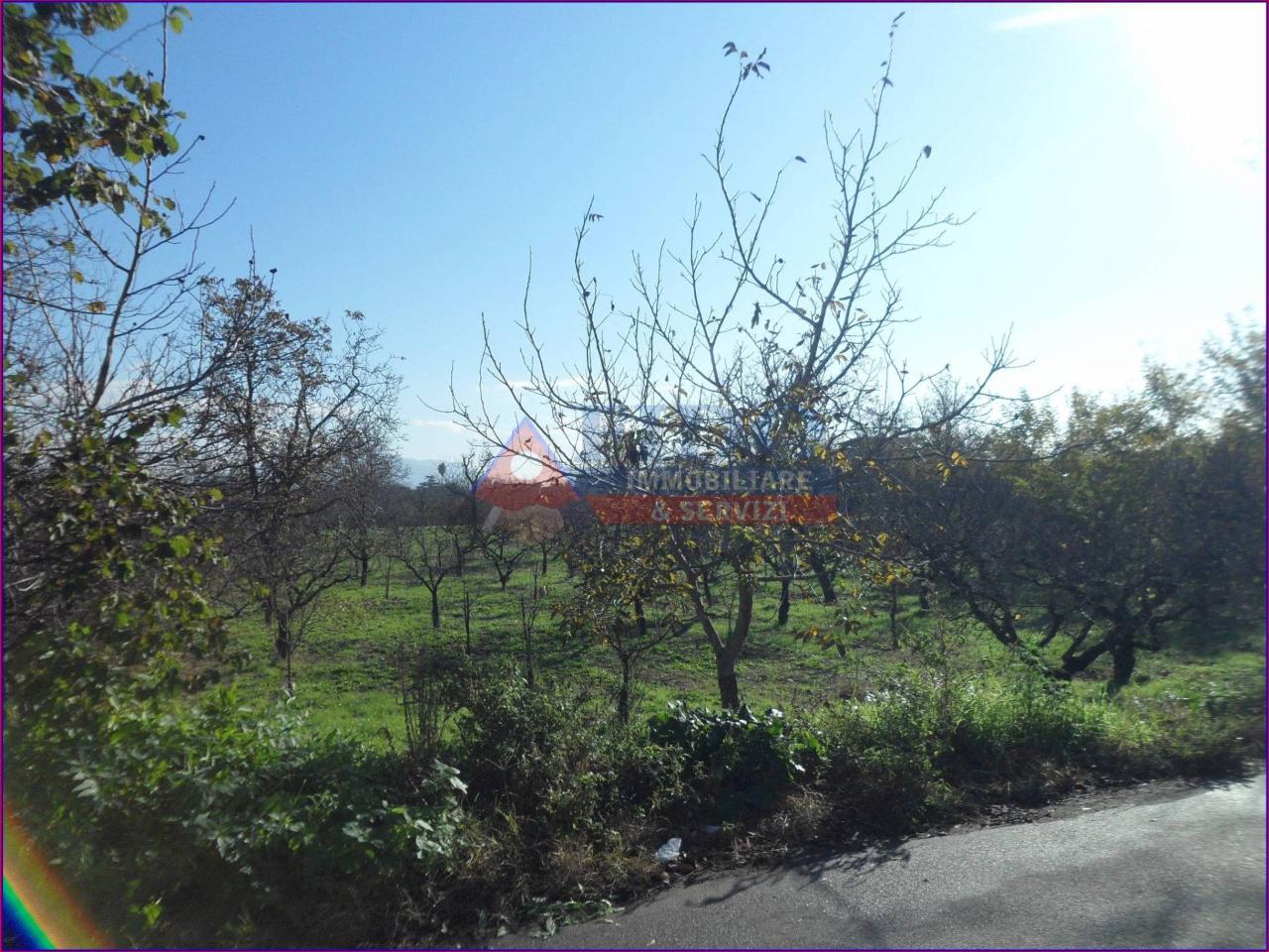 6241m² Land in Somma Vesuviana, Italy No. 163998