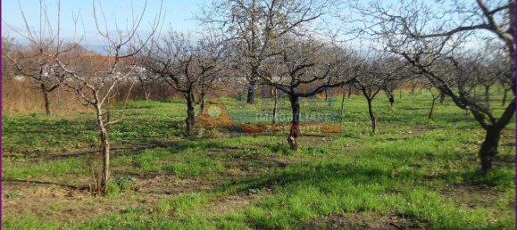 6241m² Land in Somma Vesuviana, Italy No. 163998 13