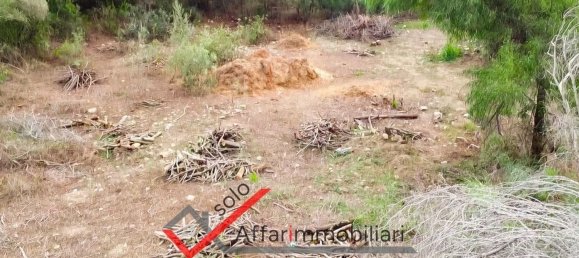 Terreno en Olbia, Italy 2398 m² No. 278139 9