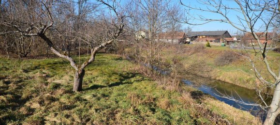 5 rooms House in Pischelsdorf am Kulm, Austria No. 194623 13