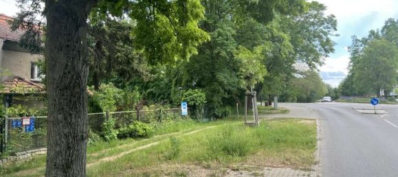 Grundstück in Märkisch-Oderland, Germany, Nr. 52970 3