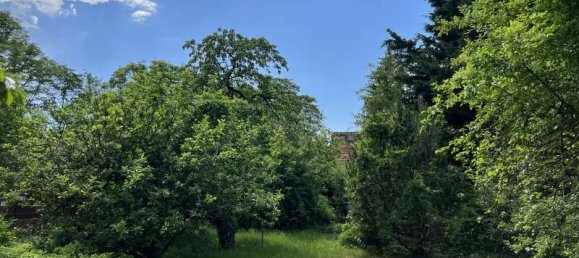 Grundstück in Märkisch-Oderland, Germany, Nr. 52970 4