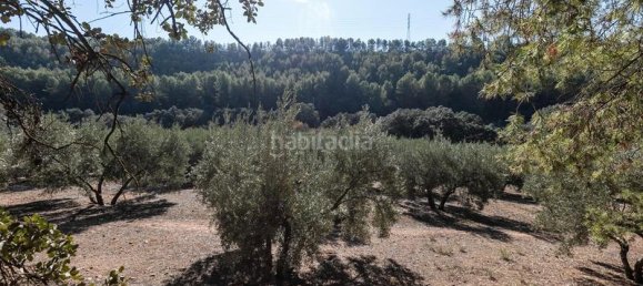  قطعة أرض في Albolote, Spain 26000متر مربع رقم 108059 9