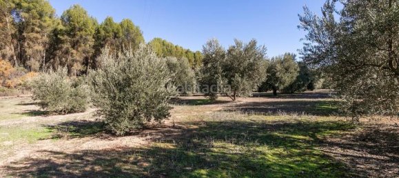  قطعة أرض في Albolote, Spain 26000متر مربع رقم 108059 4