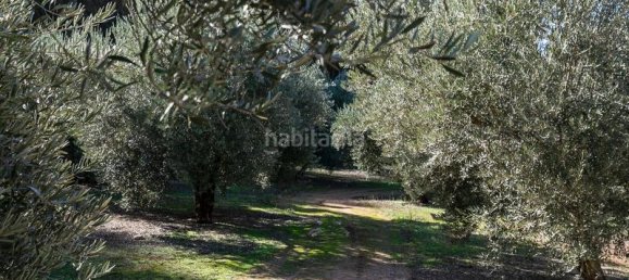  قطعة أرض في Albolote, Spain 26000متر مربع رقم 108059 12