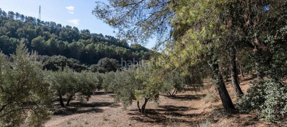  قطعة أرض في Albolote, Spain 26000متر مربع رقم 108059 10