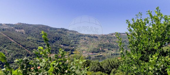 Casa de 3 dormitorios en Espadanedo, Portugal No. 171436 9