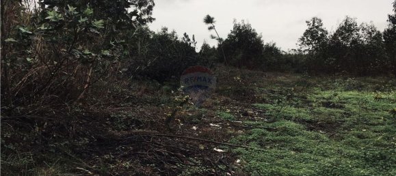 Grundstück in Torres Vedras, Portugal 9560m², Nr. 63298 2