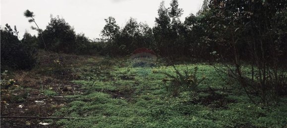 Grundstück in Torres Vedras, Portugal 9560m², Nr. 63298 3