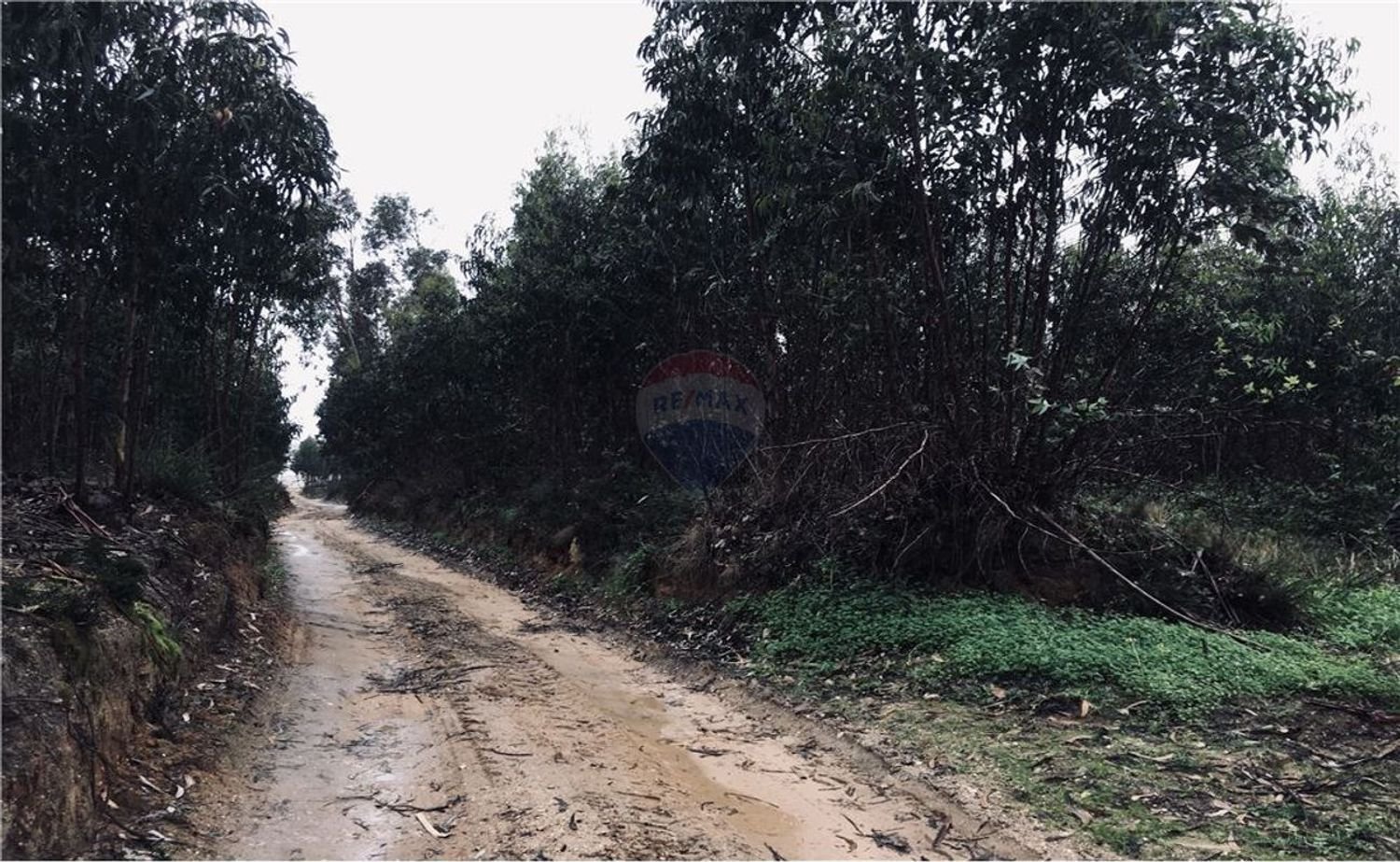 Grundstück in Torres Vedras, Portugal 9560m², Nr. 63298