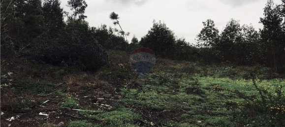 Grundstück in Torres Vedras, Portugal 9560m², Nr. 63298 4