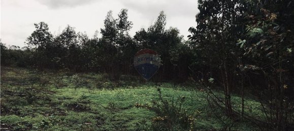 Grundstück in Torres Vedras, Portugal 9560m², Nr. 63298 5