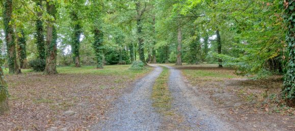 4 Schlafzimmer Haus in Montussan, France, Nr. 278123 15