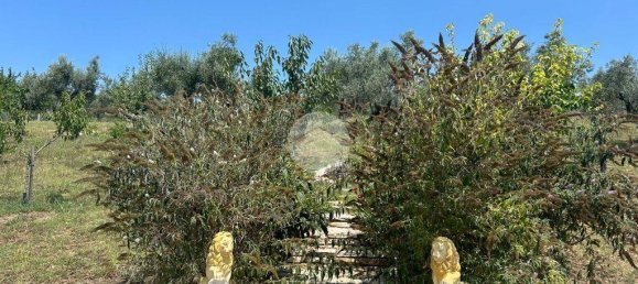 1-Zimmer Grundstück in Fara in Sabina, Italy, Nr. 79901 13