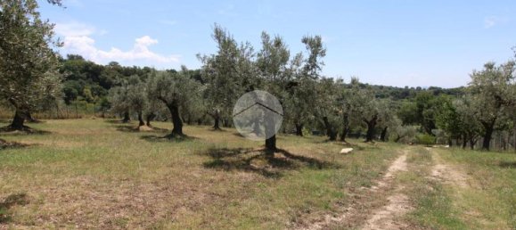 1-Zimmer Grundstück in Fara in Sabina, Italy, Nr. 79901 30