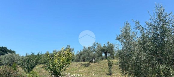 1-Zimmer Grundstück in Fara in Sabina, Italy, Nr. 79901 15