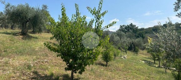 1-Zimmer Grundstück in Fara in Sabina, Italy, Nr. 79901 12