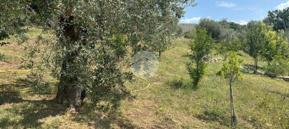 1-Zimmer Grundstück in Fara in Sabina, Italy, Nr. 79901 38