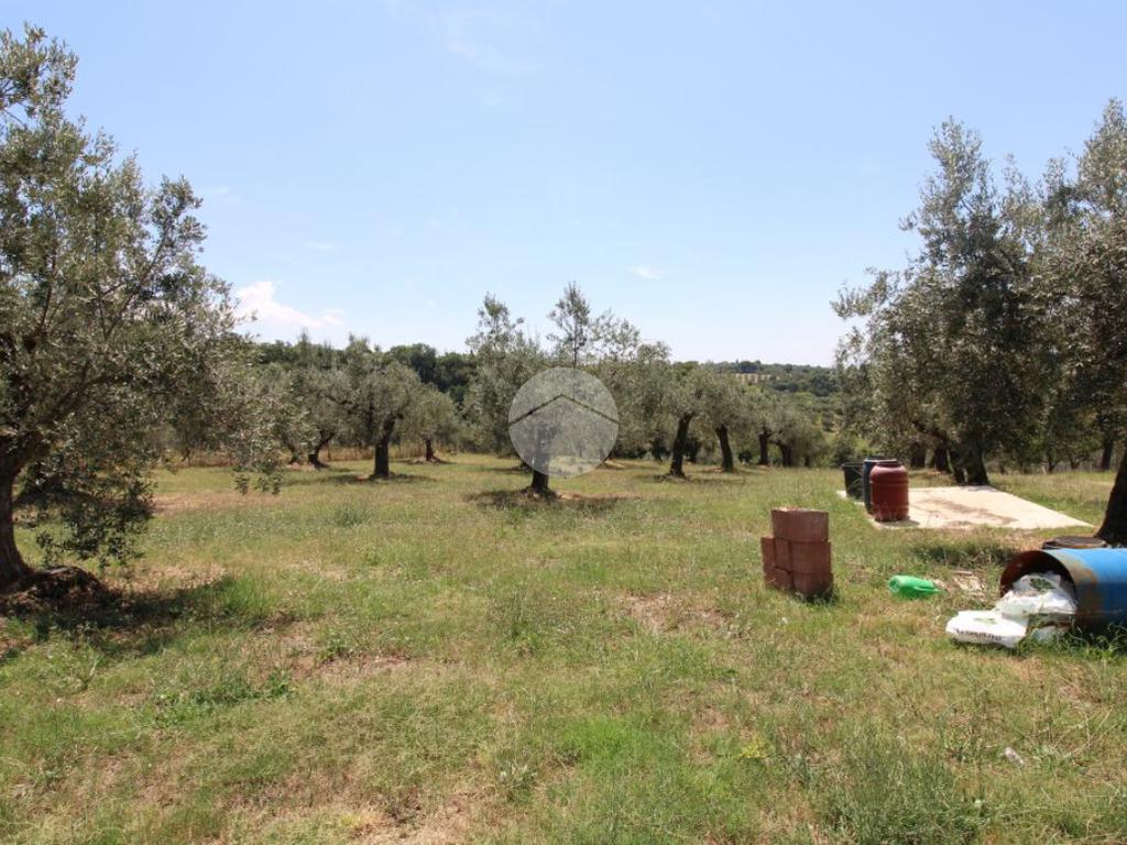 1-Zimmer Grundstück in Fara in Sabina, Italy, Nr. 79901