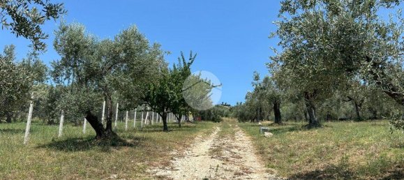 1-Zimmer Grundstück in Fara in Sabina, Italy, Nr. 79901 24