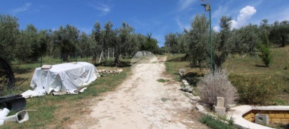 1-Zimmer Grundstück in Fara in Sabina, Italy, Nr. 79901 11