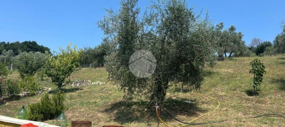 1-Zimmer Grundstück in Fara in Sabina, Italy, Nr. 79901 36