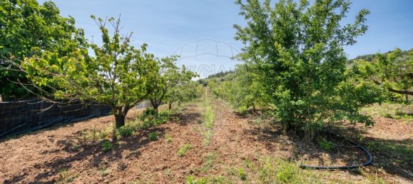 4 غرف نوم منزل في Cadaval, Portugal رقم 178090 45