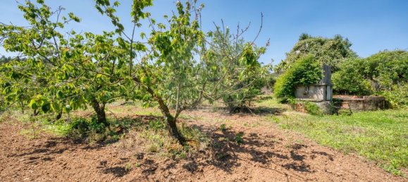 4 غرف نوم منزل في Cadaval, Portugal رقم 178090 46
