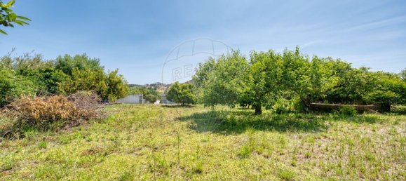 4 غرف نوم منزل في Cadaval, Portugal رقم 178090 48