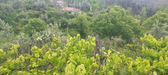 6 bedrooms House in Castelo de Paiva, Portugal No. 171179 27