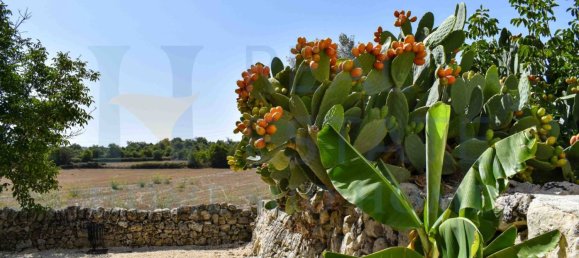 3 bedrooms House in Noto, Italy No. 350625 11