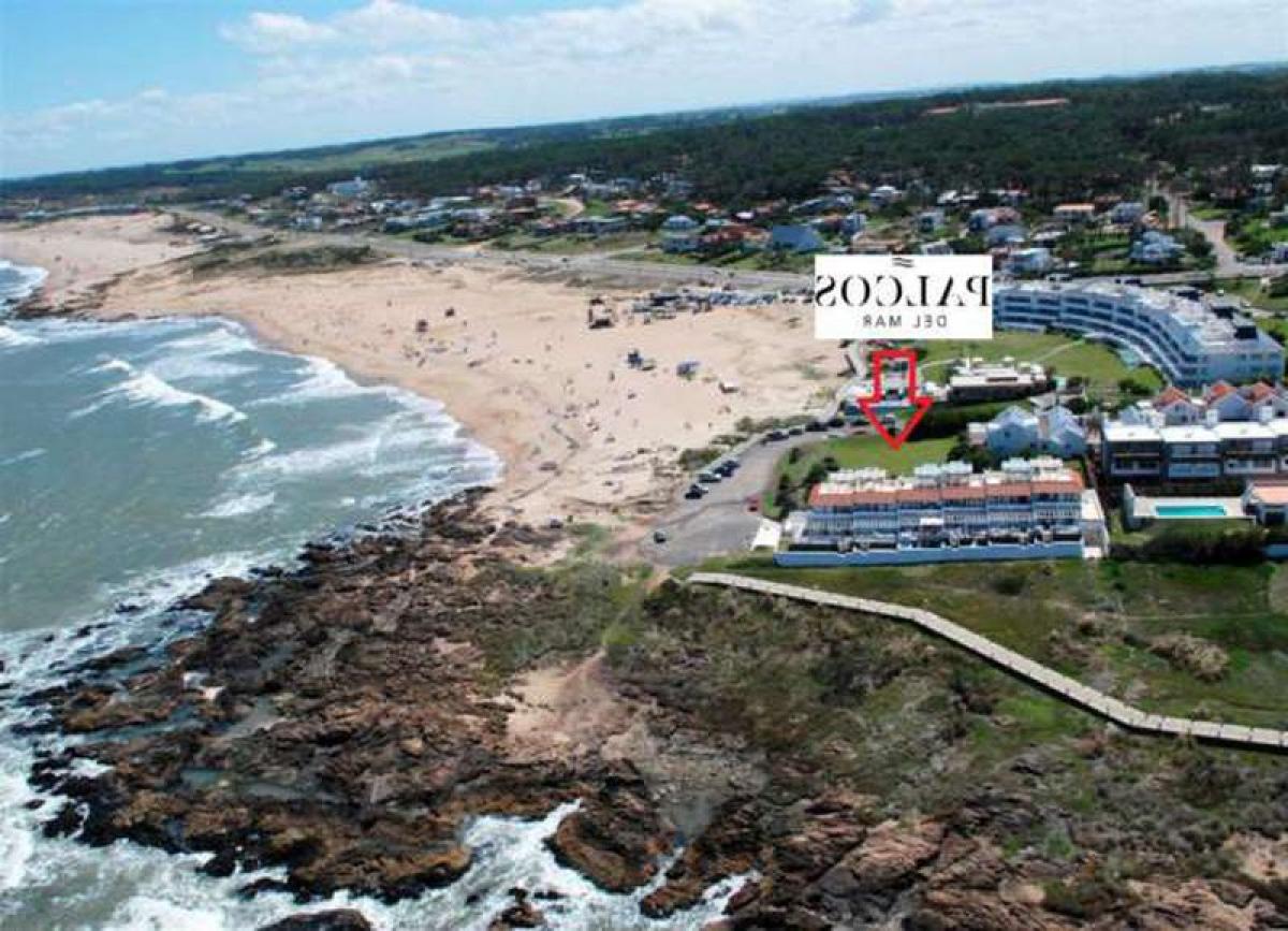 Студия в Мальдонадо, Уругвай № 11376