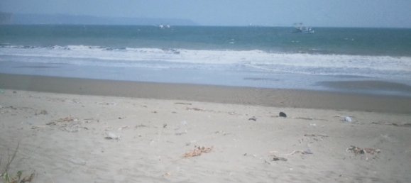 8 dormitorios villa en venta en Puntarenas, Costa Rica № 2026 11