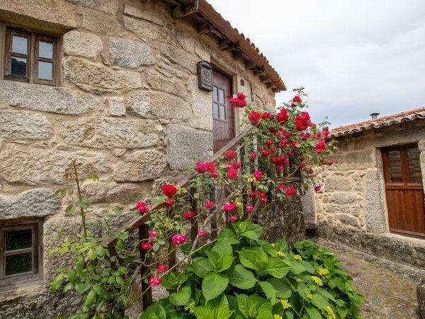 Casa T2 em Silgueiros, Portugal N.º 188583