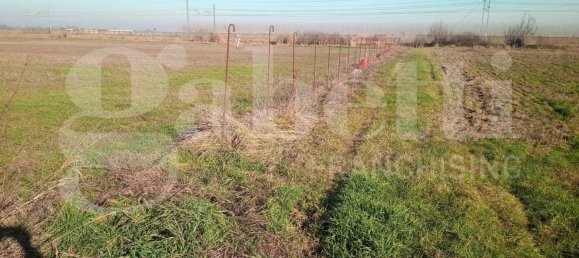 7250m² Land in Cavallermaggiore, Italy No. 263241 5