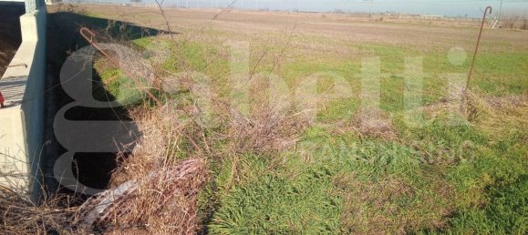 7250m² Land in Cavallermaggiore, Italy No. 263241 6