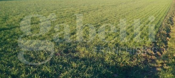 7250m² Land in Cavallermaggiore, Italy No. 263241 7