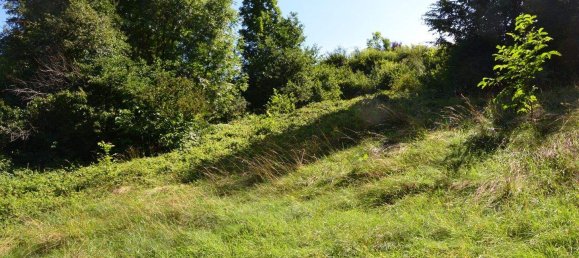  قطعة أرض في Wernberg, Austria رقم 207264 3