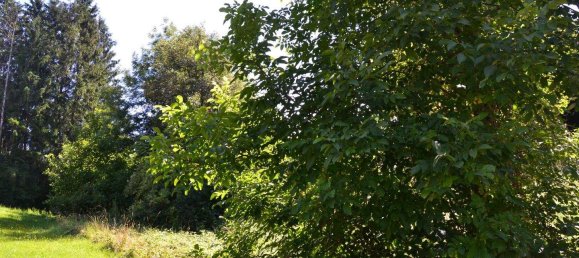  قطعة أرض في Wernberg, Austria رقم 207264 4