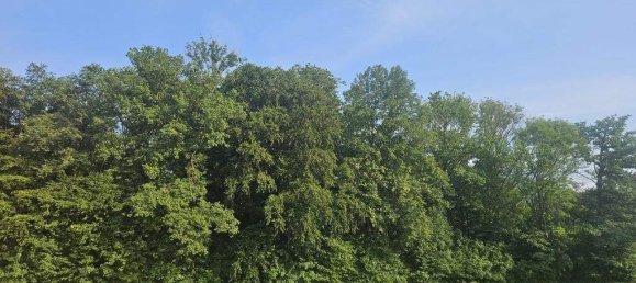 3 rooms House in Ohlsdorf, Austria No. 204967 14