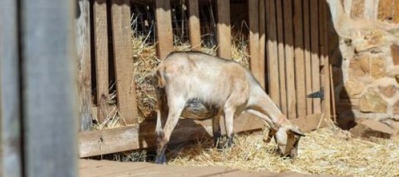 3 Schlafzimmer Haus in Monchique, Portugal, Nr. 294151 34