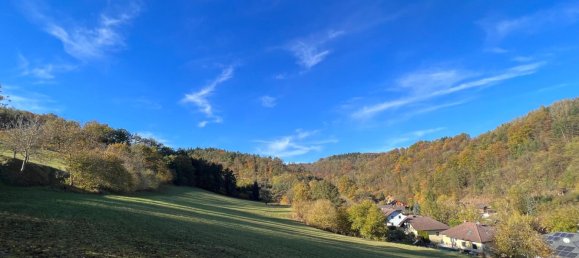 Terrain à Emmersdorf an der Donau, Austria 16815m² No. 134149 5