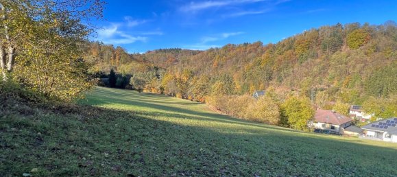 Terrain à Emmersdorf an der Donau, Austria 16815m² No. 134149 9