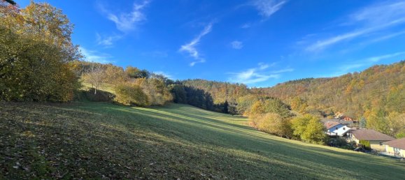 Terrain à Emmersdorf an der Donau, Austria 16815m² No. 134149 20