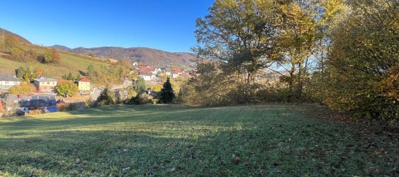 Terrain à Emmersdorf an der Donau, Austria 16815m² No. 134149 3