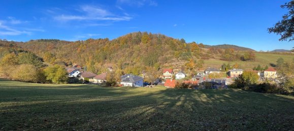 Terrain à Emmersdorf an der Donau, Austria 16815m² No. 134149 17