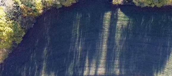 Terrain à Emmersdorf an der Donau, Austria 16815m² No. 134149 21