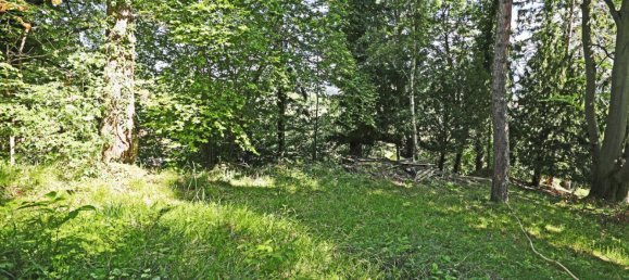 Земельный участок в Андриц, Австрия № 42014 6