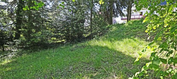 Земельный участок в Андриц, Австрия № 42014 8